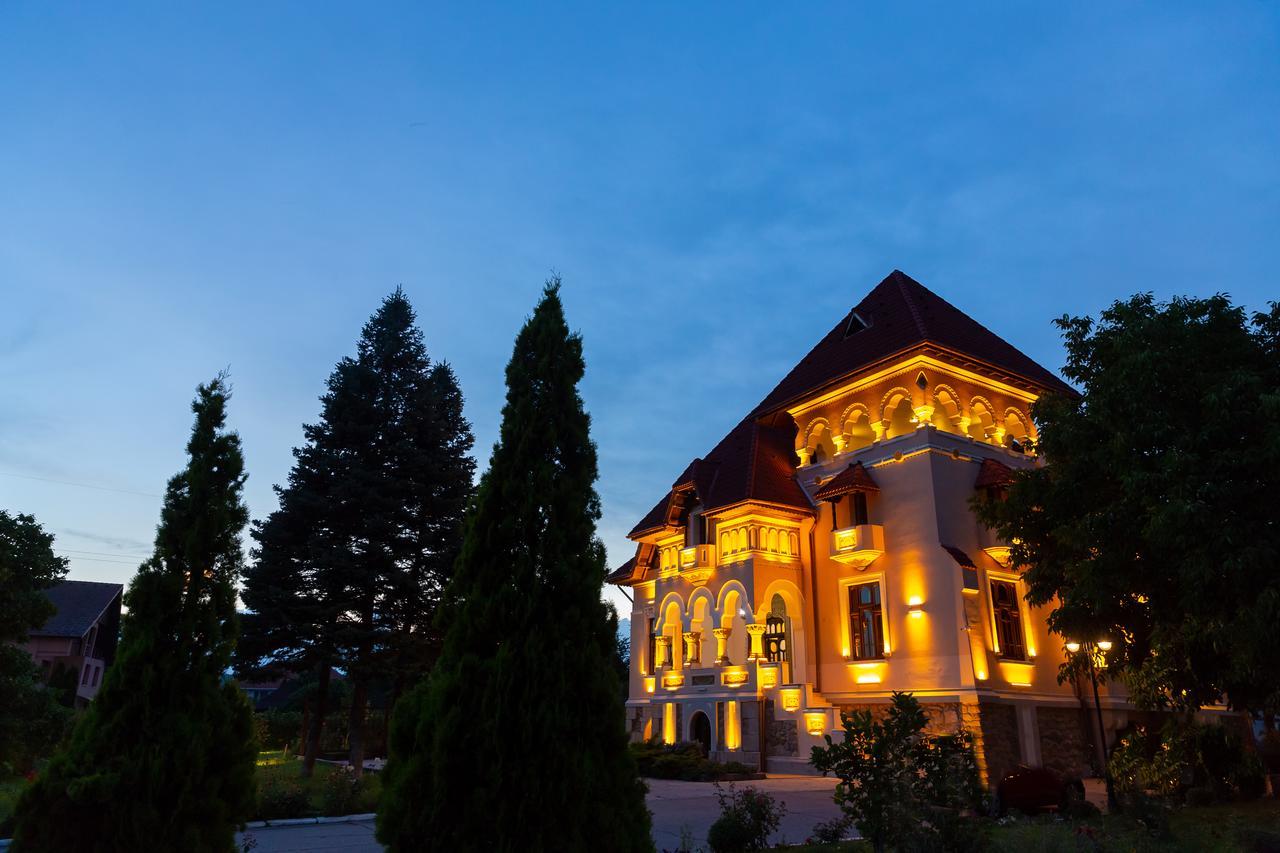 Casa Danielescu Hotel Targu Jiu Exterior photo