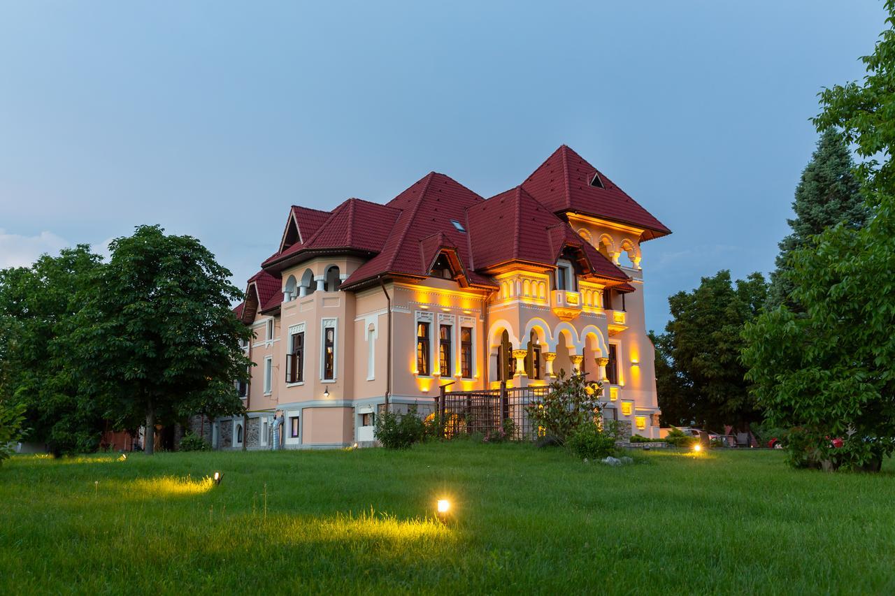 Casa Danielescu Hotel Targu Jiu Exterior photo